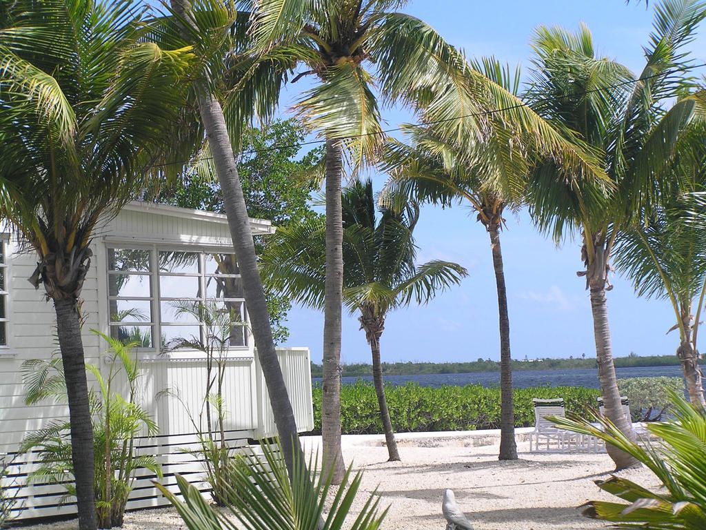 Parmer'S Resort Little Torch Key Exteriér fotografie